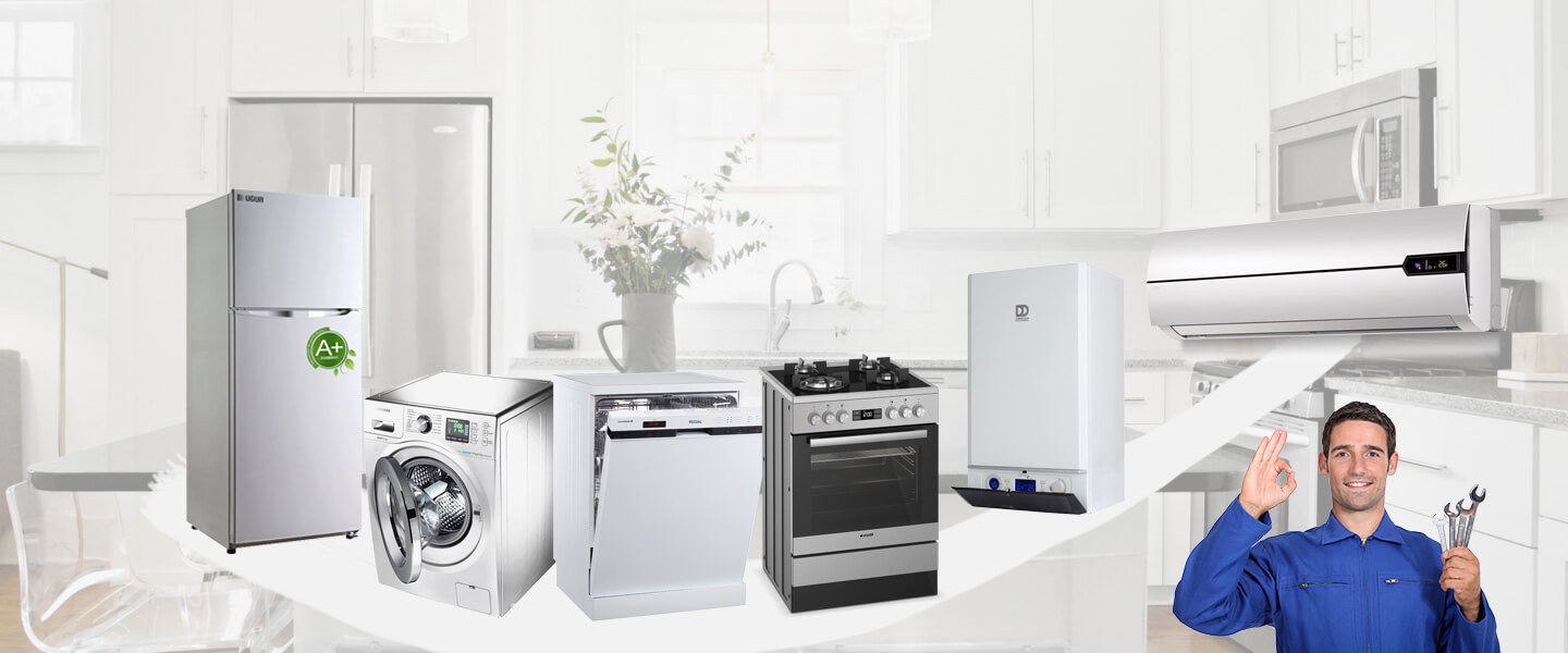 Özdere Electrolux Servisi